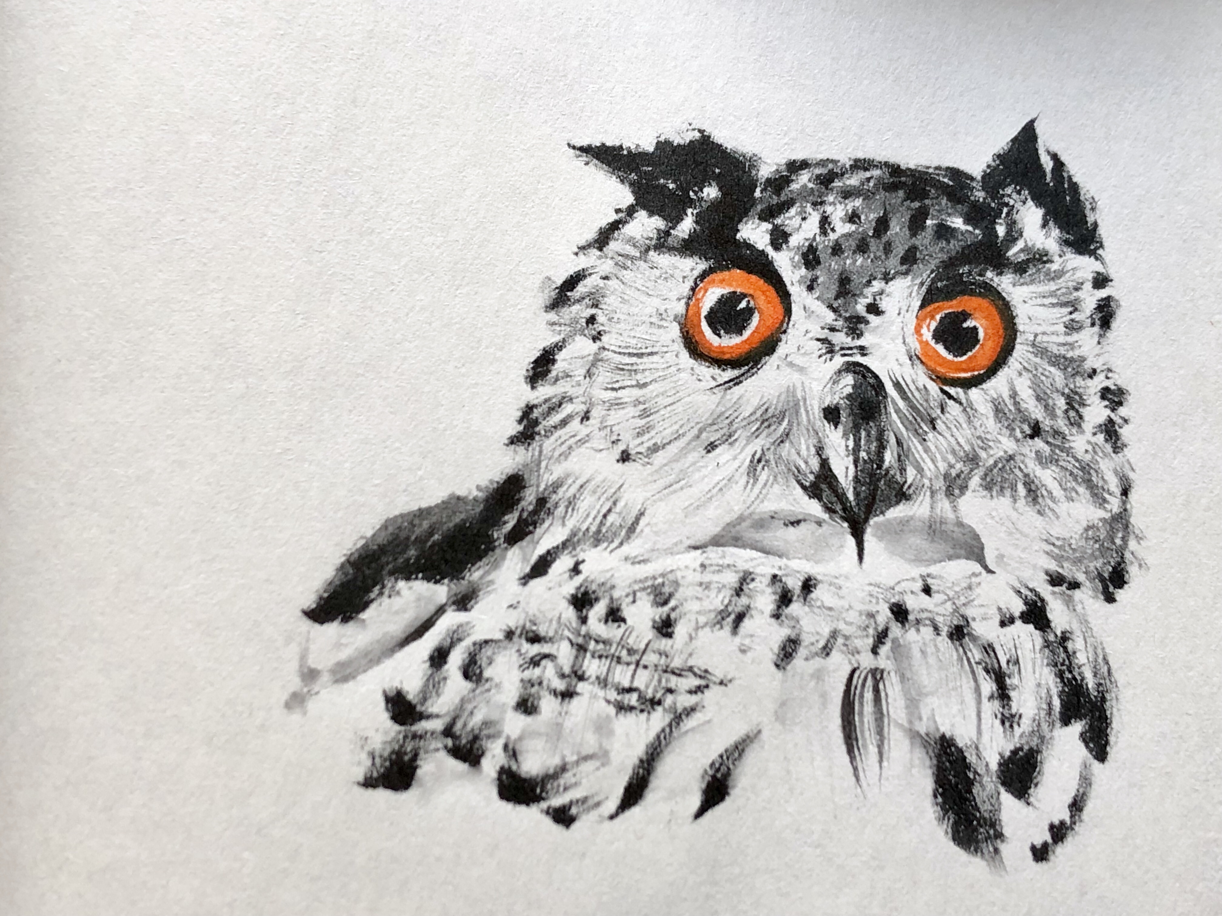 Open the door to other worlds from the comfort of your desk, read a book from a faraway place.