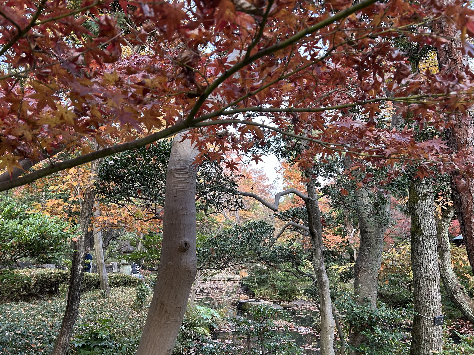 Sometime Tokyo. A pop-up writings collection with holiday wishes.
