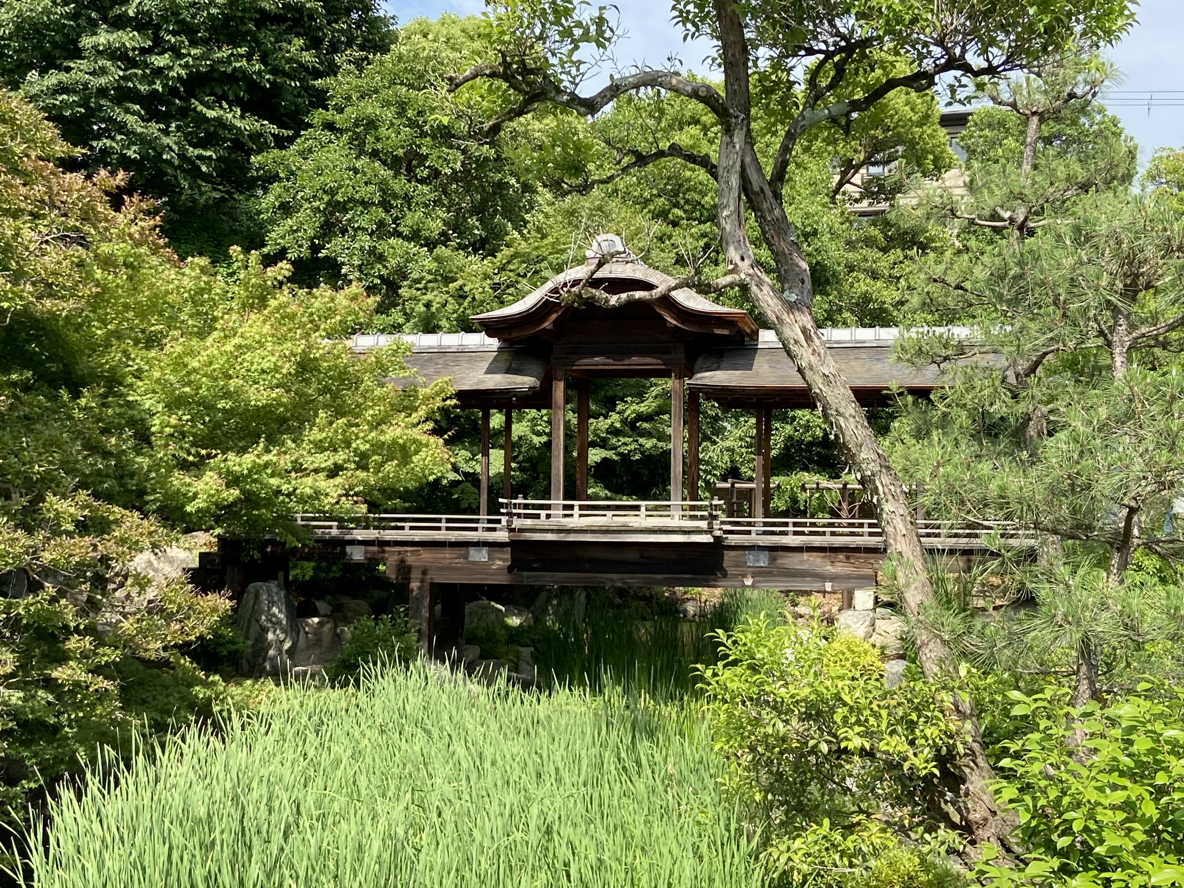 “The water’s path” is a winner in the 2026 Kyoto Writing Competition